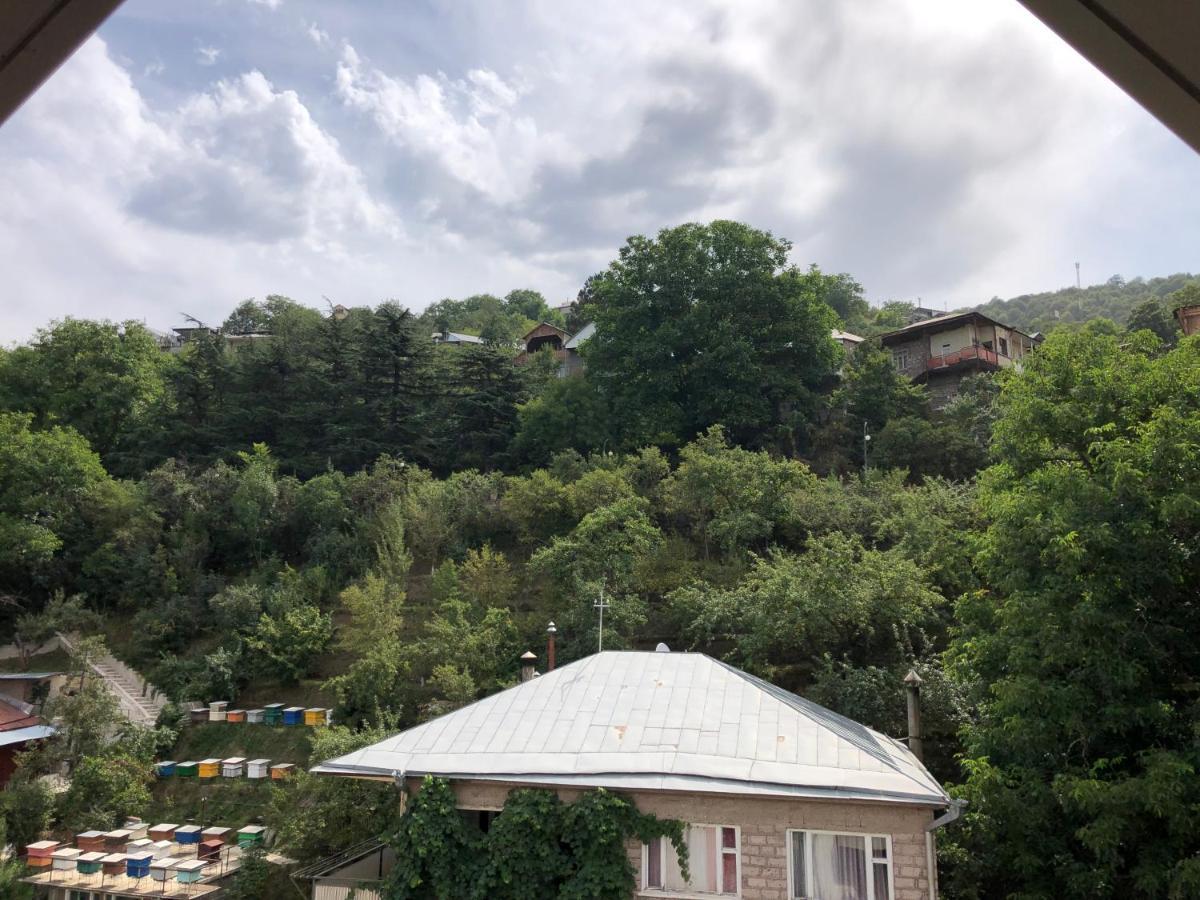 Cozy Apartment For Real Rest Dilijan Εξωτερικό φωτογραφία